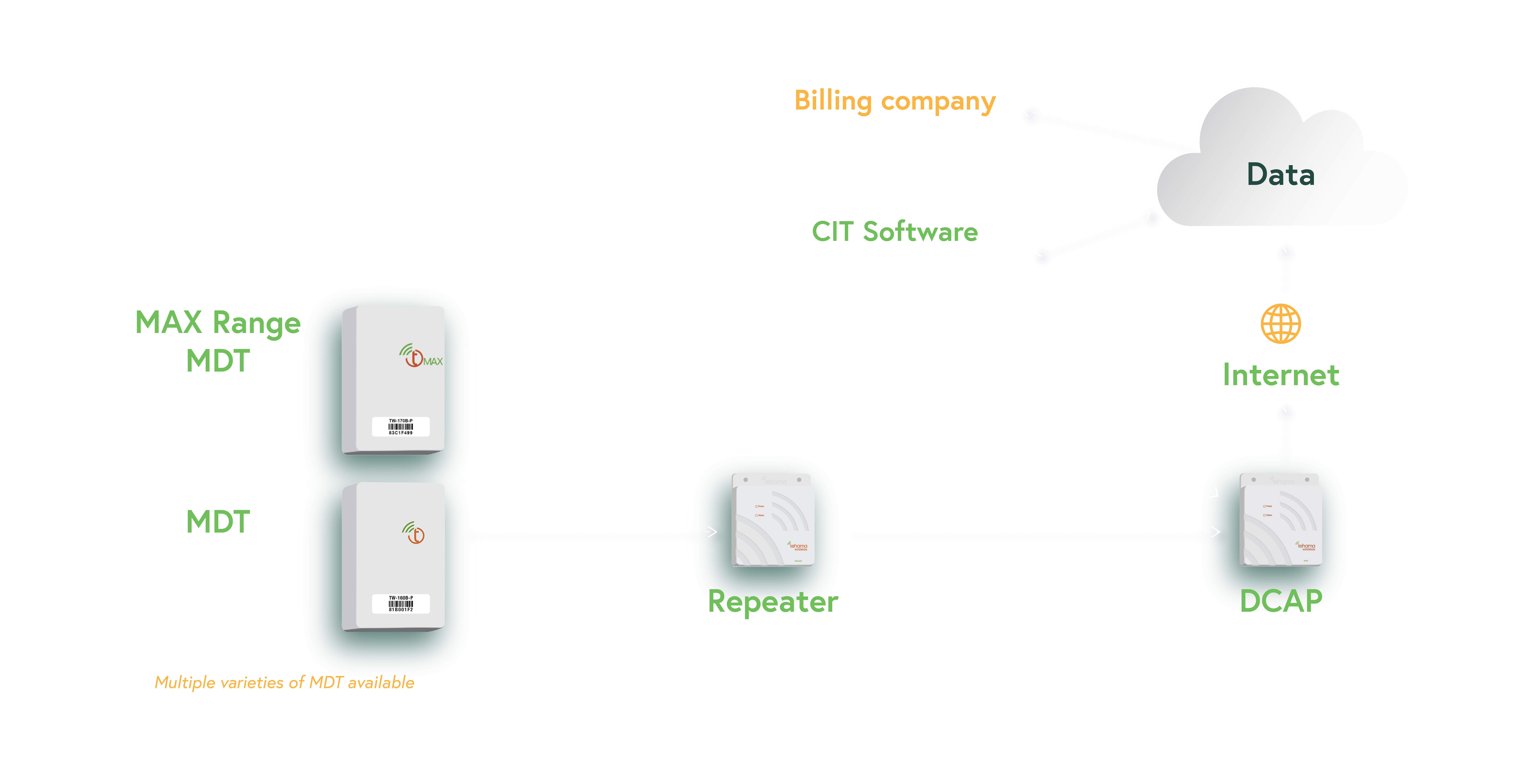 Infographic Tehama